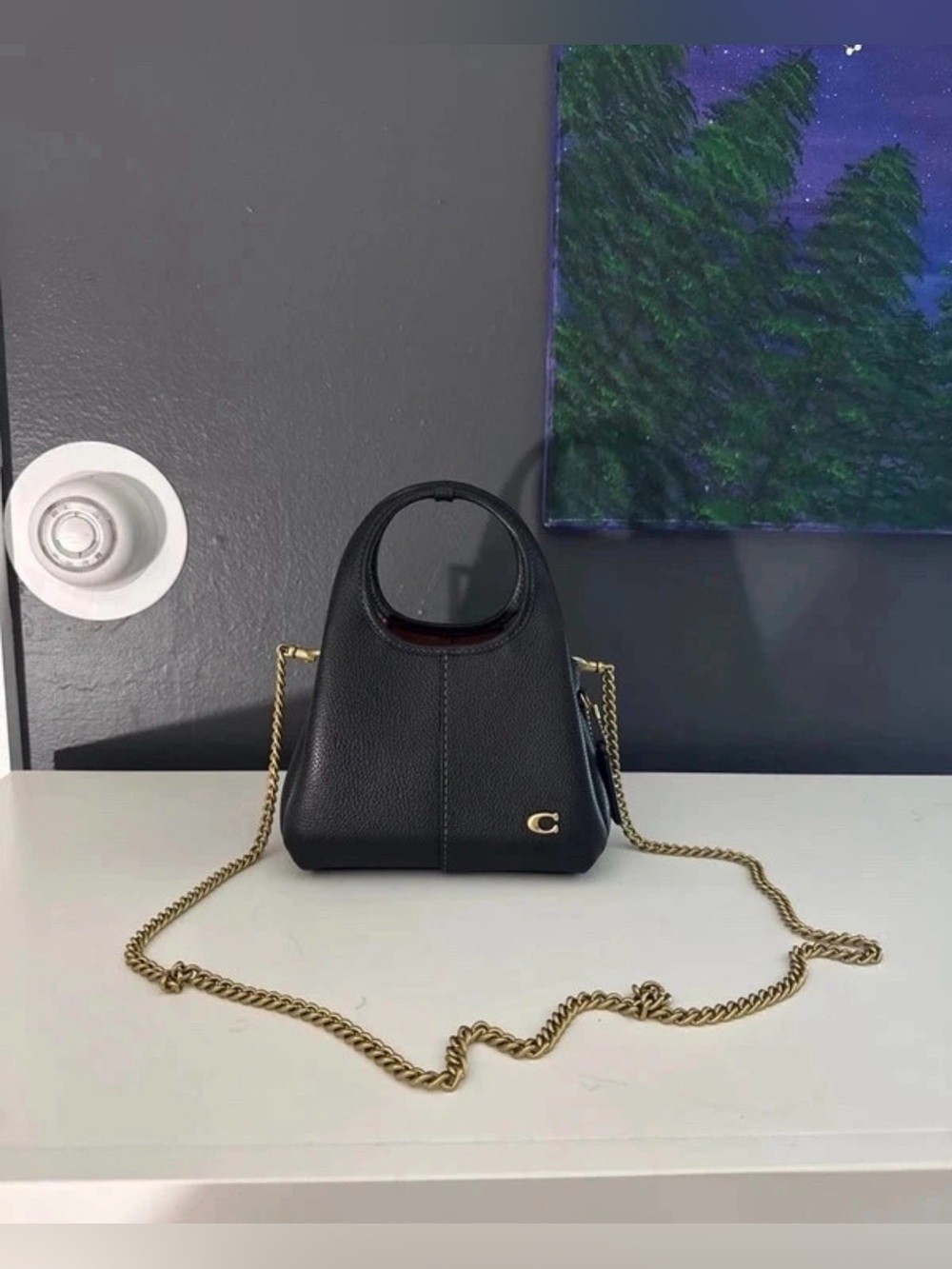 Coach Lana Shoulder bag 19